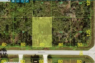 12212 Conroy Ave, Port Charlotte, FL 33981 - Photo 1