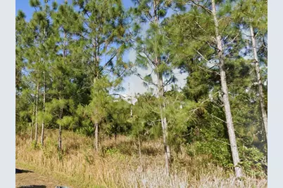 708 Clayton Ave, Lehigh Acres, FL 33972 - Photo 1