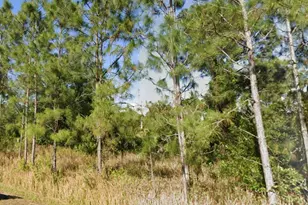 708 Clayton Ave, Lehigh Acres, FL 33972 - Photo 1