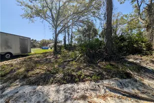 3700 Elaine Ave N, Lehigh Acres, FL 33971 - Photo 9