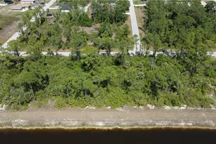 1146 Randolph St, Lehigh Acres, FL 33974 - Photo 1