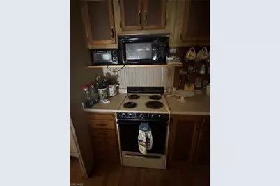 10848 Bonapartes Gull, Estero, FL 33928 - Photo 15