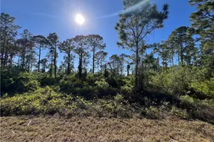 456 Hull Ave S, Lehigh Acres, FL 33974 - Photo 1