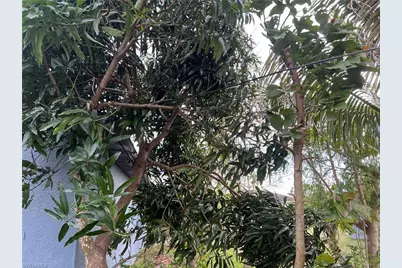 2609 4th St SW, Lehigh Acres, FL 33976 - Photo 19