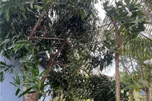 2609 4th St SW, Lehigh Acres, FL 33976 - Photo 19