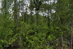 803 Abbott Ave, Lehigh Acres, FL 33972 - Photo 1