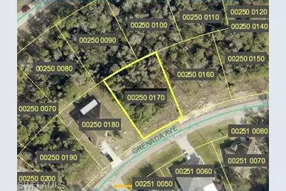 806 Grenada Ave, Lehigh Acres, FL 33974 - Photo 1