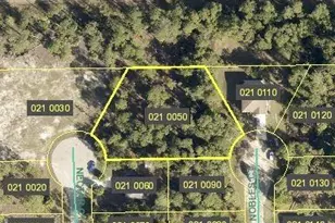 103 Nectar Ct, Lehigh Acres, FL 33974 - Photo 1