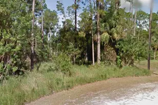 103 Nectar Ct, Lehigh Acres, FL 33974 - Photo 3