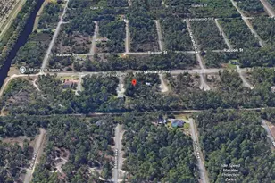 103 Nectar Ct, Lehigh Acres, FL 33974 - Photo 9