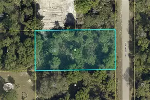 521 Broadway Ave, Lehigh Acres, FL 33972 - Photo 1