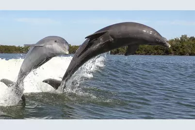 147 Capri Blvd, Naples, FL 34113 - Photo 15