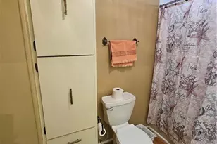 4 Elder St, Alva, FL 33920 - Photo 17