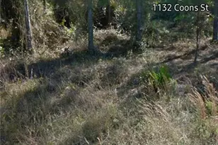 1132 Coons St E, Lehigh Acres, FL 33974 - Photo 3