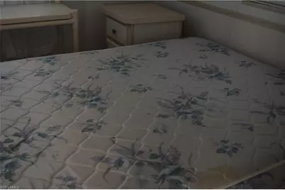 3809 Lemon Twist Loop, Bonita Springs, FL 34134 - Photo 9