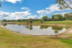 28677 San Lucas Ln, Bonita Springs, FL 34135 - Photo 27