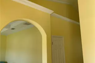 3817 NW 46th St, Cape Coral, FL 33993 - Photo 29