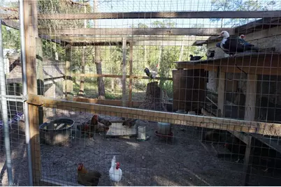 3393 21st Ave SW, Naples, FL 34117 - Photo 25