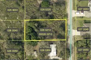 1417 Pine Ave, Lehigh Acres, FL 33972 - Photo 1