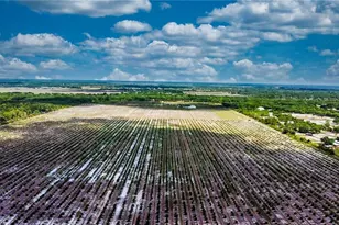 2321 Leroy Ave, Alva, FL 33920 - Photo 3