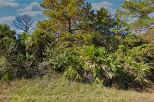 1015 Irving Ave, Lehigh Acres, FL 33972 - Photo 5