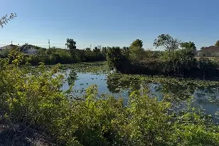 522 NE 15th Terrace, Cape Coral, FL 33909 - Photo 5