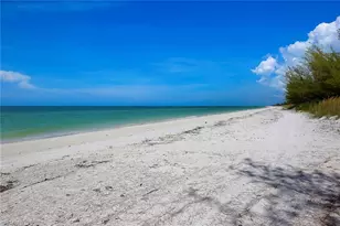 11687 Keewaydin, Naples, FL 34113 - Photo 3