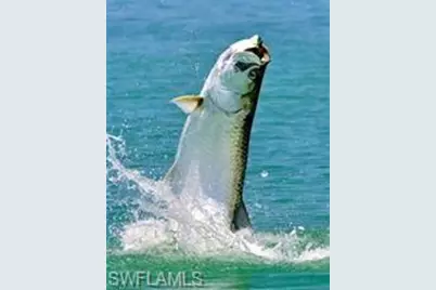 7251 Orange Ave, Bokeelia, FL 33922 - Photo 3