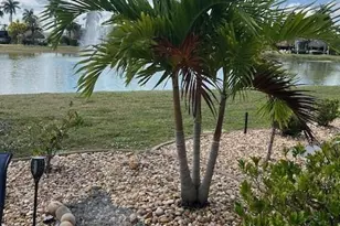 10336 Fire Flag Trail, Fort Myers, FL 33905 - Photo 21