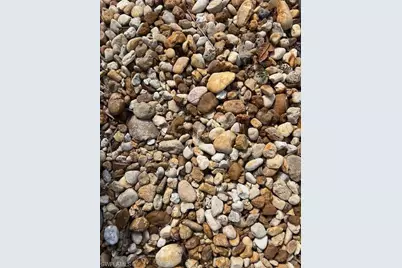 10336 Fire Flag Trl, Fort Myers, FL 33905 - Photo 13