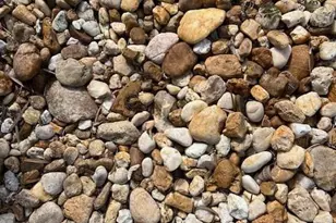 10336 Fire Flag Trail, Fort Myers, FL 33905 - Photo 13