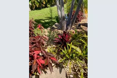 10309 Fire Flag Trl, Fort Myers, FL 33905 - Photo 25