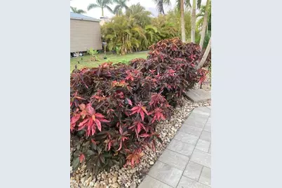 10309 Fire Flag Trl, Fort Myers, FL 33905 - Photo 23