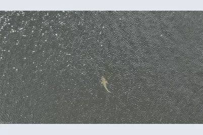 3309 NW 3rd Ter, Cape Coral, FL 33993 - Photo 15