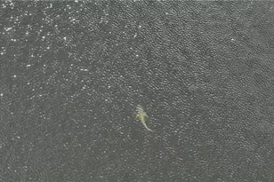 3309 NW 3rd Terrace, Cape Coral, FL 33993 - Photo 15