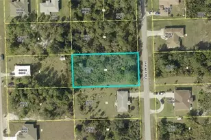 919 Calvin Ave, Lehigh Acres, FL 33972 - Photo 1