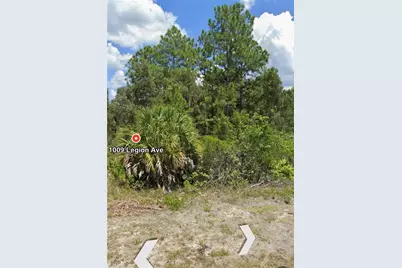 1009 Legion Ave Ave, Lehigh Acres, FL 33974 - Photo 5