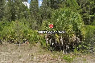 1009 Legion Ave Ave, Lehigh Acres, FL 33974 - Photo 3