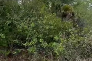 310 Jourferie Rd, Lehigh Acres, FL 33974 - Photo 1