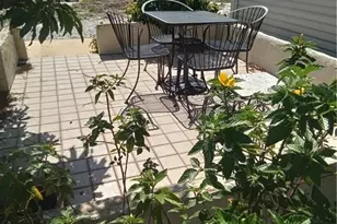 4925 Porky Ln, Saint James City, FL 33956 - Photo 31