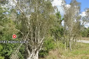 1143 Hatton Ave S, Lehigh Acres, FL 33974 - Photo 5