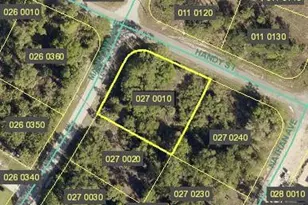 331 Mangonia Ave, Lehigh Acres, FL 33974 - Photo 1