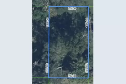 310 Wren Ave, Sebring, FL 33870 - Photo 9