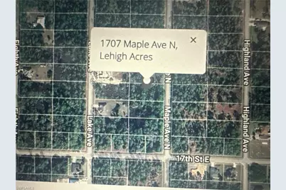 1707 Maple Ave N, Lehigh Acres, FL 33972 - Photo 3