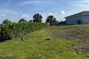 1046 Saturn Ct, Labelle, FL 33945 - Photo 7