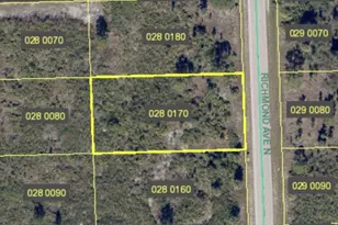 1009 Richmond Ave N, Lehigh Acres, FL 33972 - Photo 1