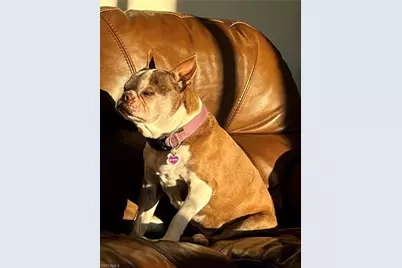 16900 Fishermans Cv, Bokeelia, FL 33922 - Photo 19