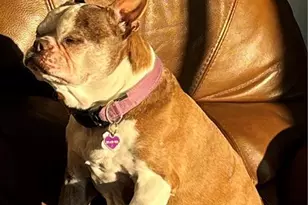 16900 Fishermans Cove, Bokeelia, FL 33922 - Photo 19