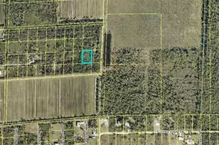 Access Undetermined, Bokeelia, FL 33922 - Photo 3