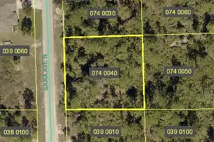 6010 Sara Ave N, Lehigh Acres, FL 33971 - Photo 1